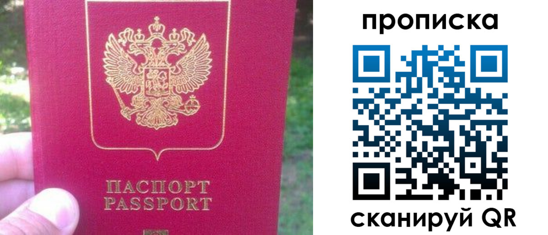 прописка законно в Берёзовском